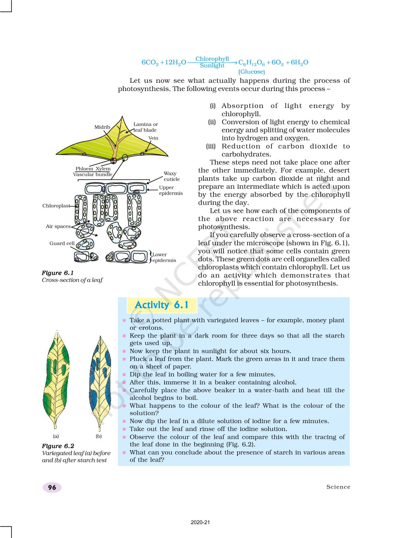 Life processes ncert book of class 10 science